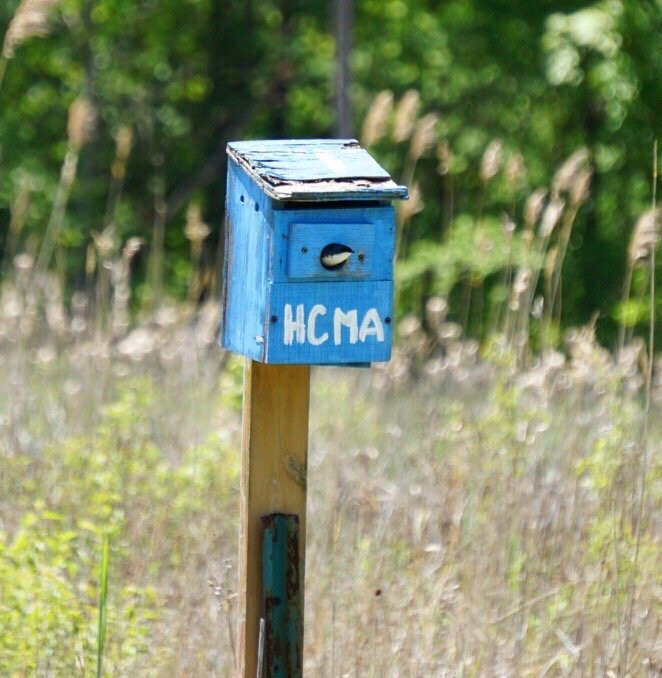 Lower Huron Metropark-Belleville必去景点