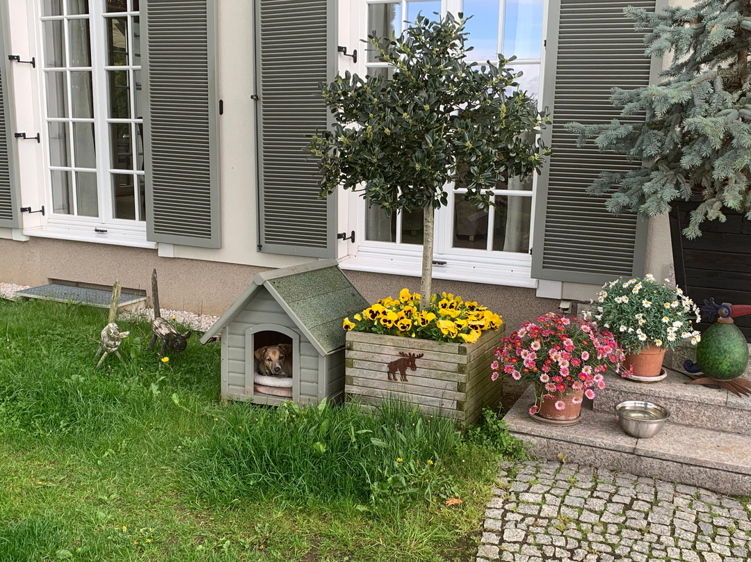 Rezydencja Villa Nova主图