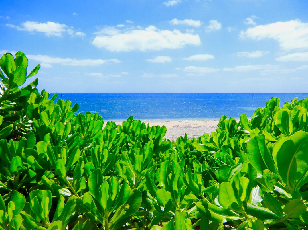 Shimajiri Beach景点图片