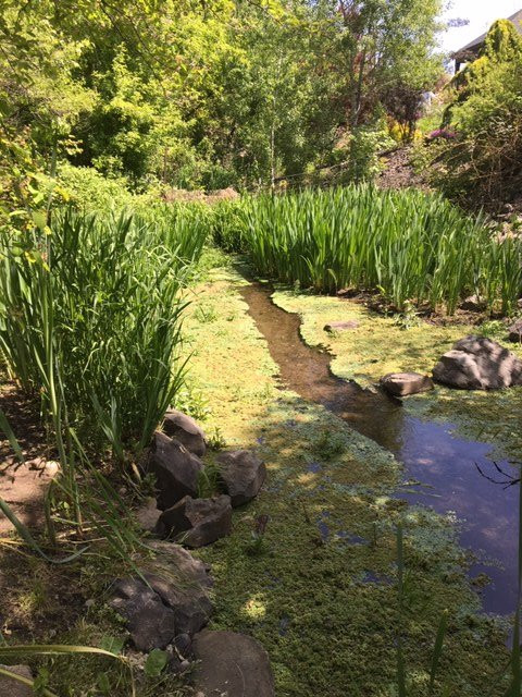 Inn At Blackberry Creek主图