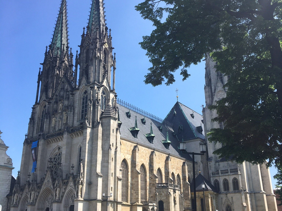 Katedrála sv. Václava景点图片