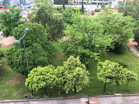 德利斯公寓式酒店主图