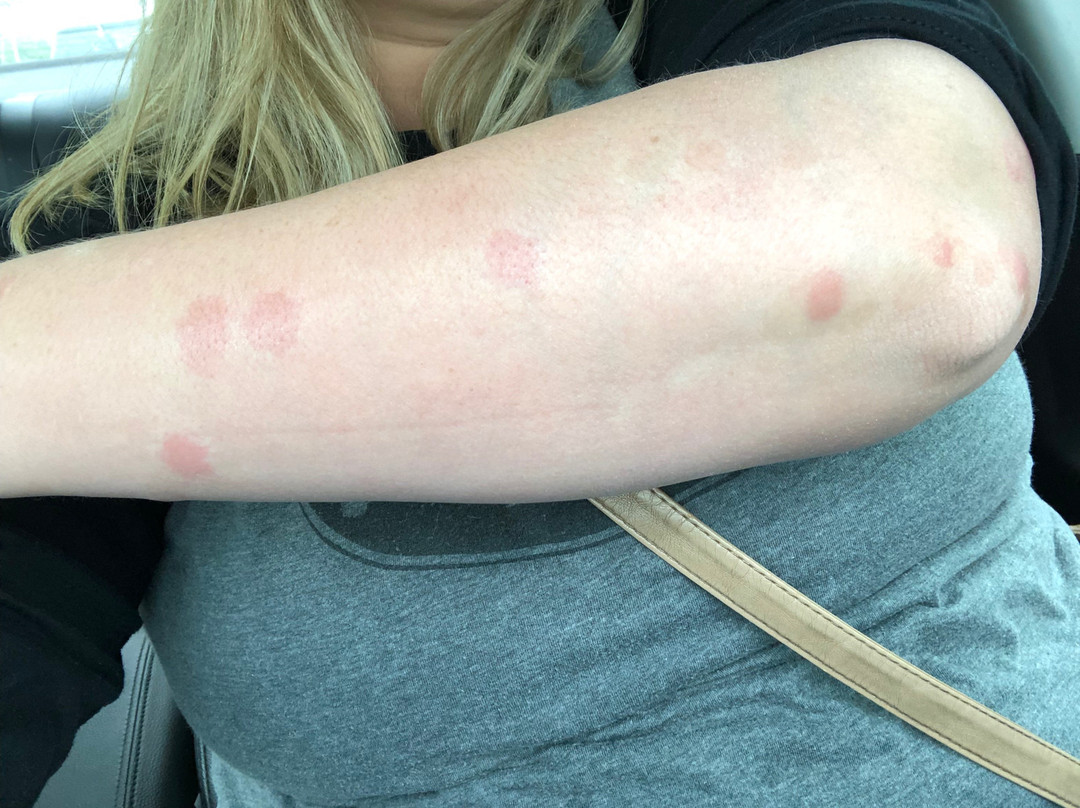 Comfort Inn Oxford主图