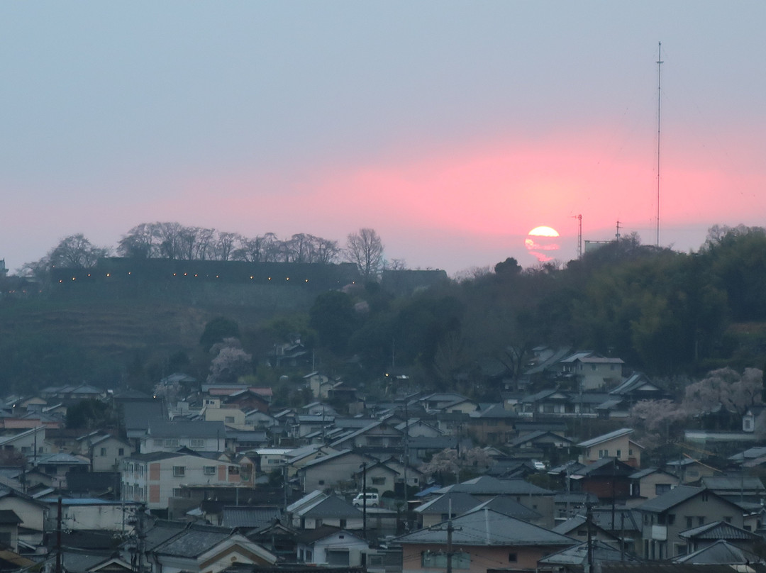 Tsuyama Kakuzan Hotel主图