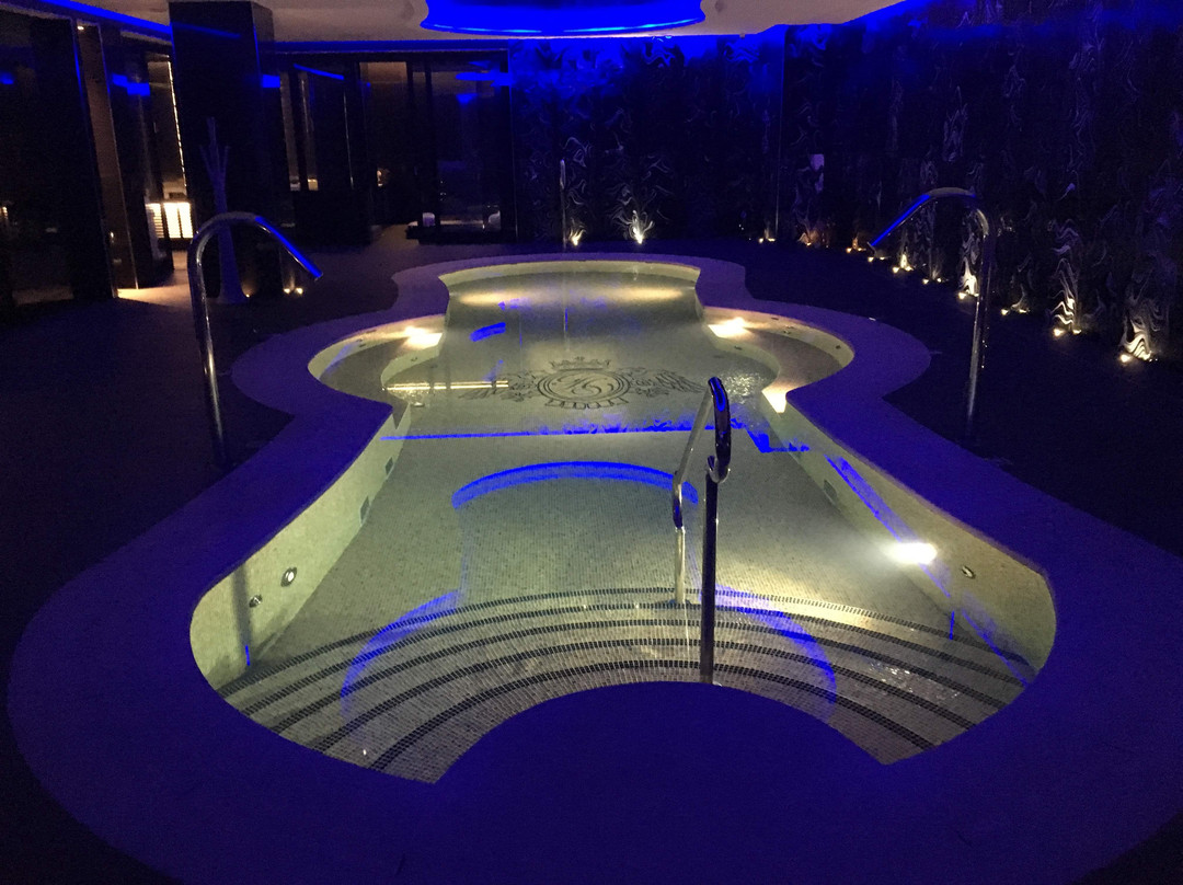 凡维特里大酒店主图