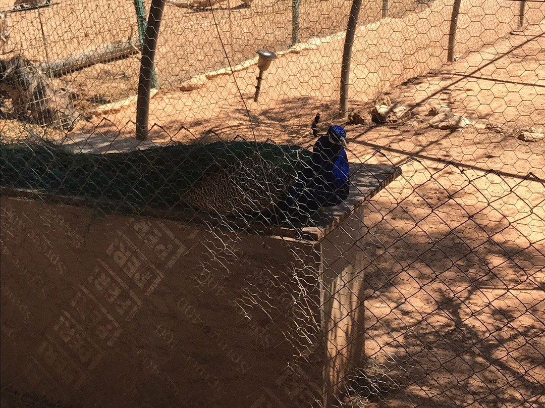 Mini Ferme Zoo-Cessenon-sur-Orb必去景点