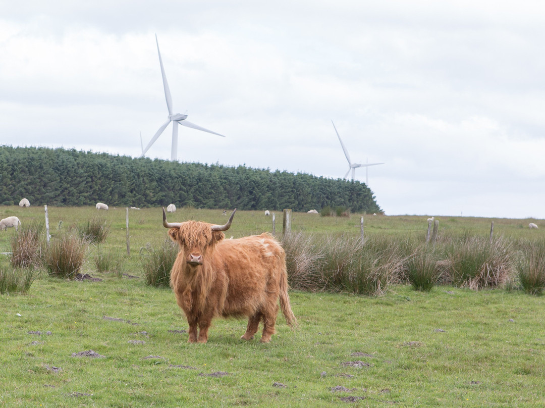 Middlemoor Farm Holidays