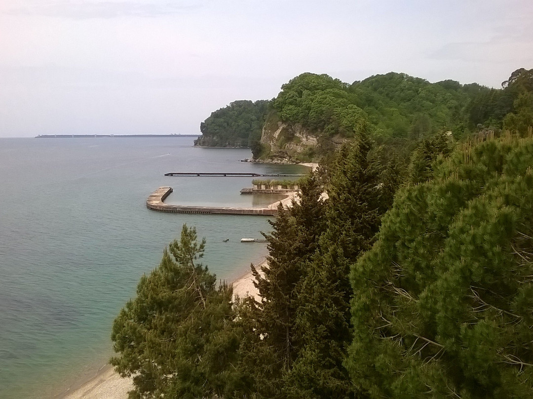 Pansionat Im. N. Lakoba Myussera主图