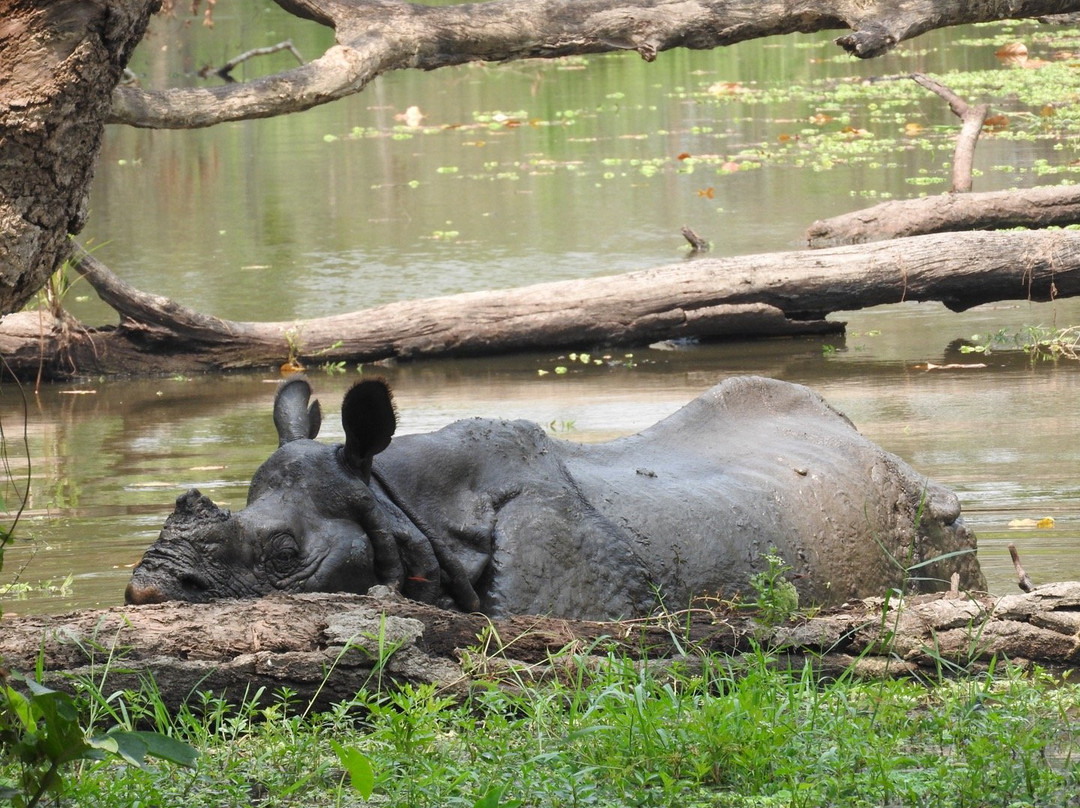 Ever Wild Trek & Tours-奇旺国家公国必去景点
