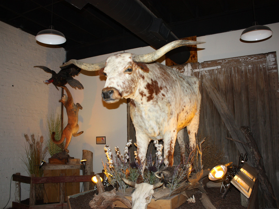 Whiteside Museum of Natural History景点图片