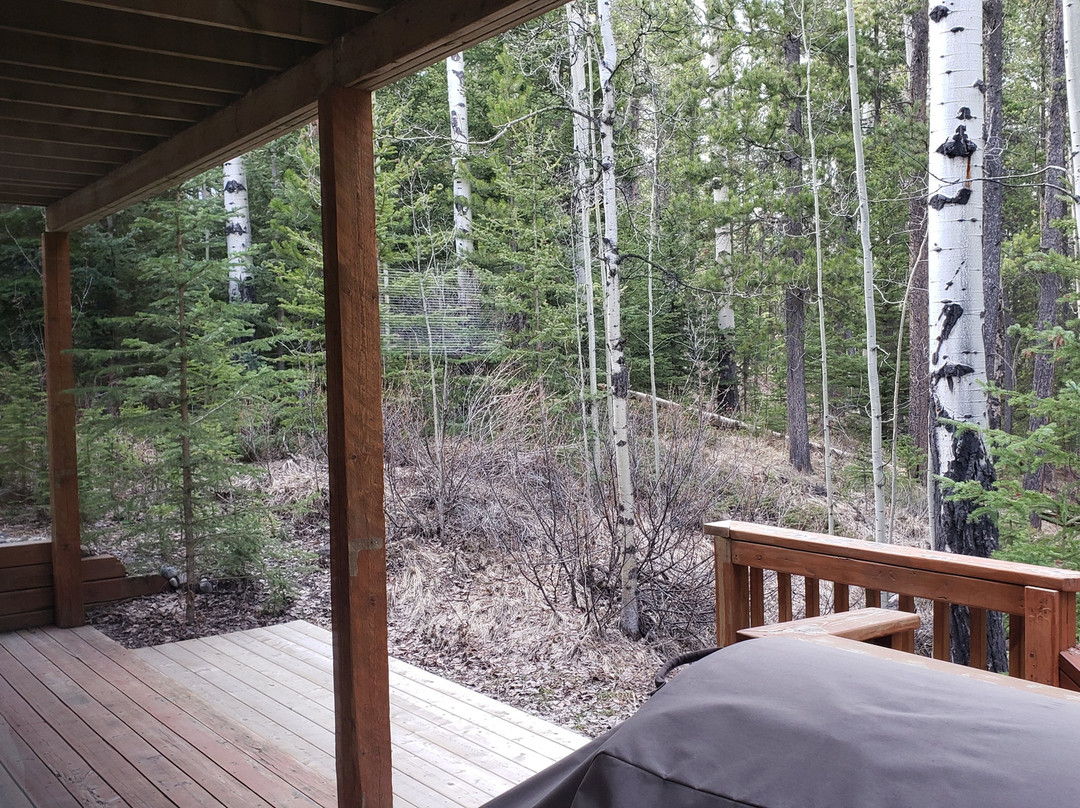 Glassi Heights主图