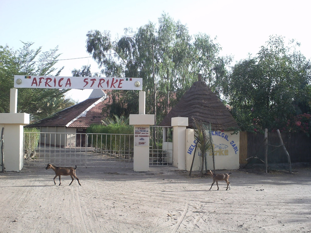 Africa Strike Lodge主图