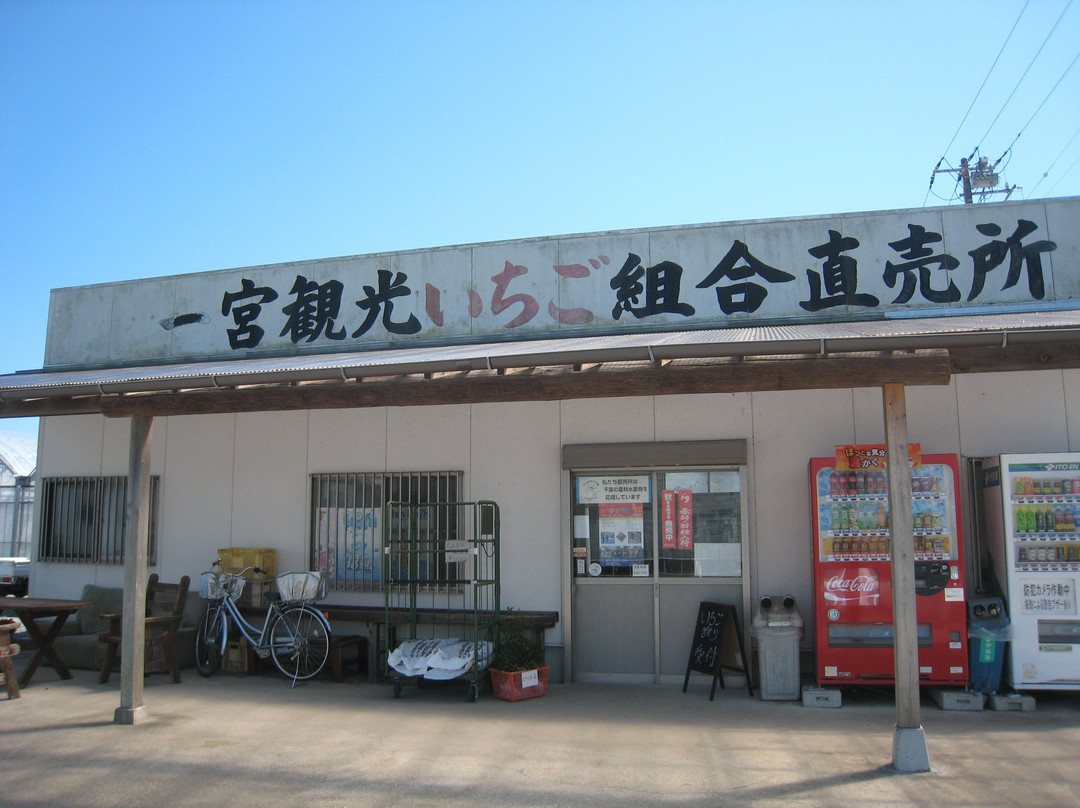 Ichinomiya Tourism Strawberry Union景点图片