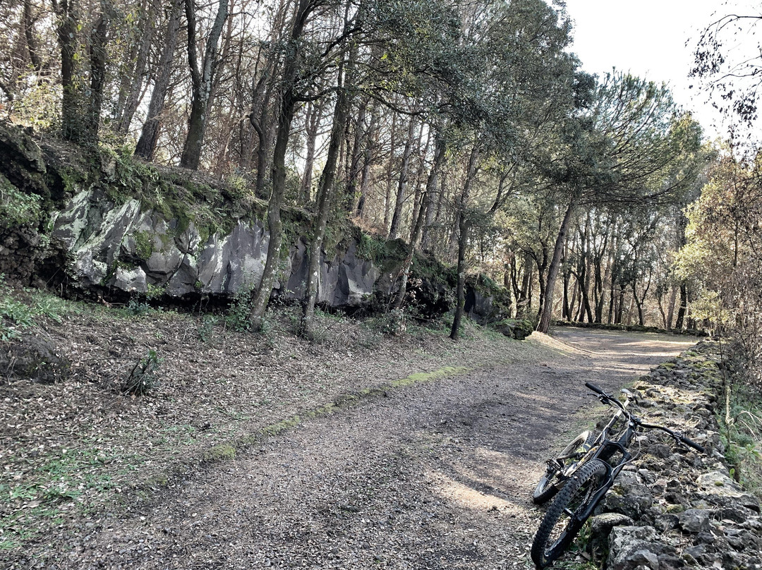 Amalfi Coast bike-马萨卢布伦塞必去景点