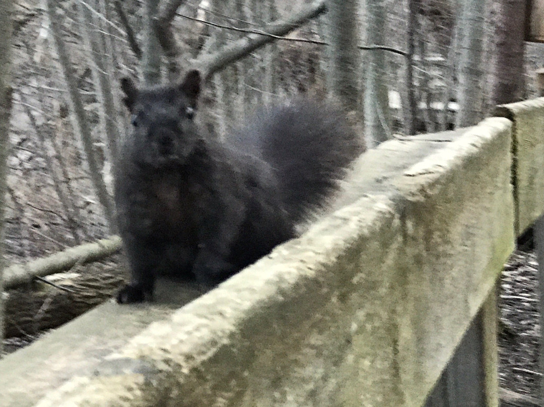 LaSalle Park-伯灵顿必去景点