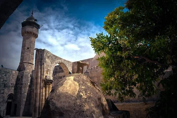 Shomron National Park-Sebastia必去景点