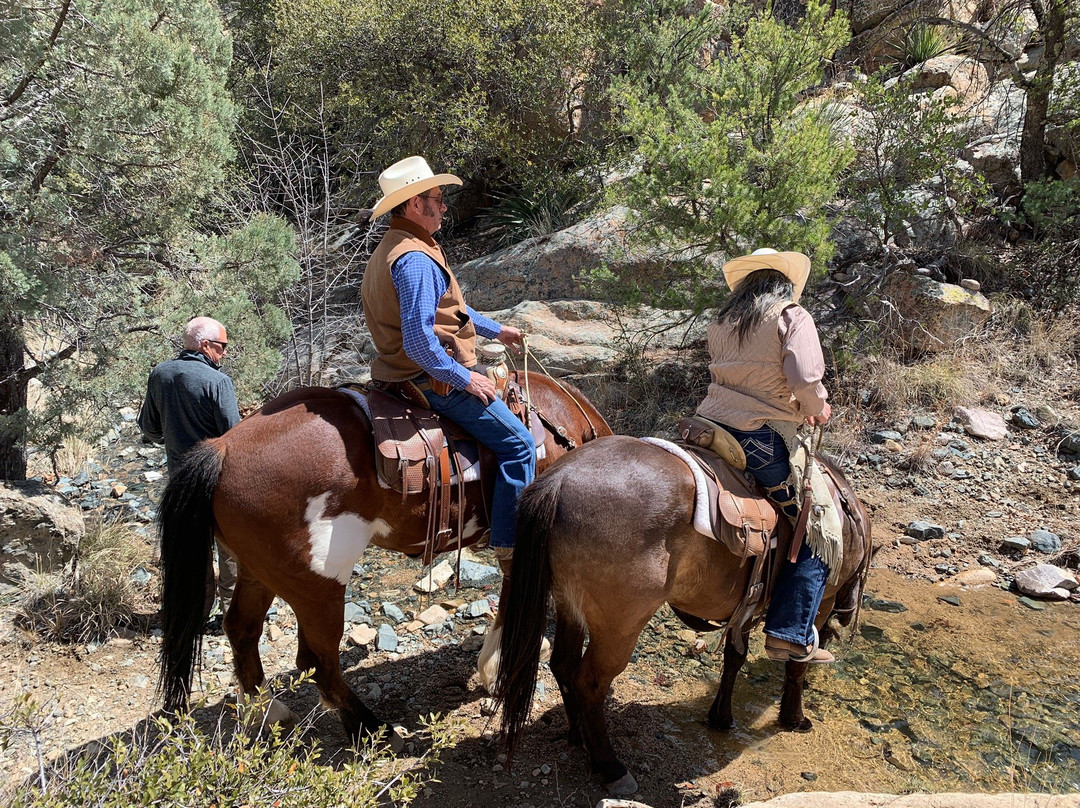 Cochise Stronghold-Pearce必去景点