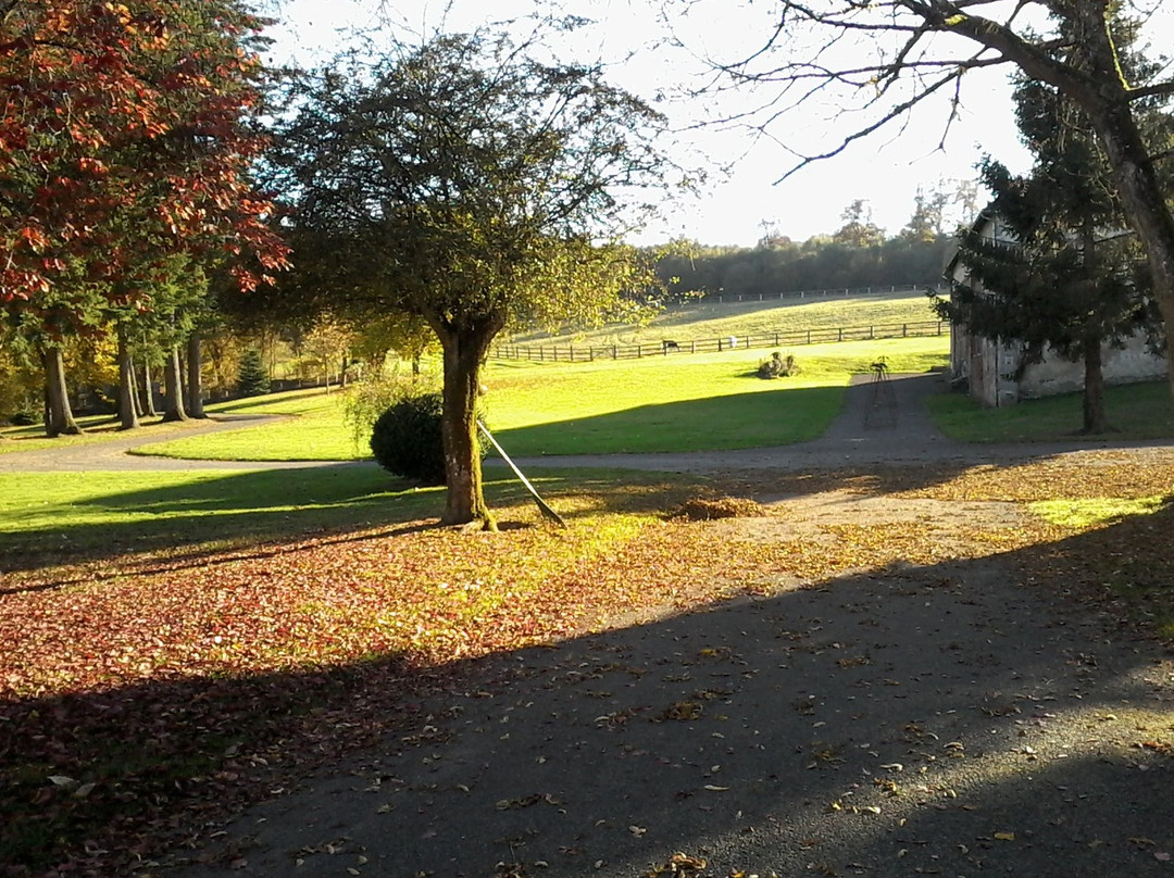 玻璃器皿的加斯特酒店主图