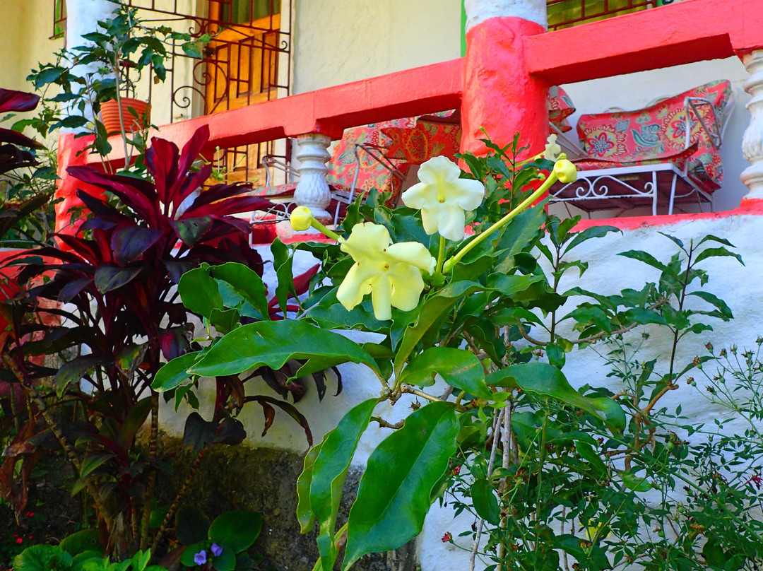 Drapers San Guest House主图