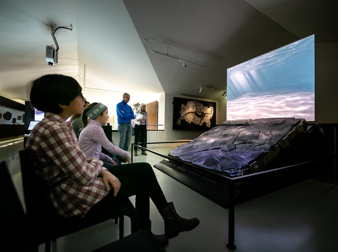 Museo dei fossili del Monte San Giorgio-Meride必去景点