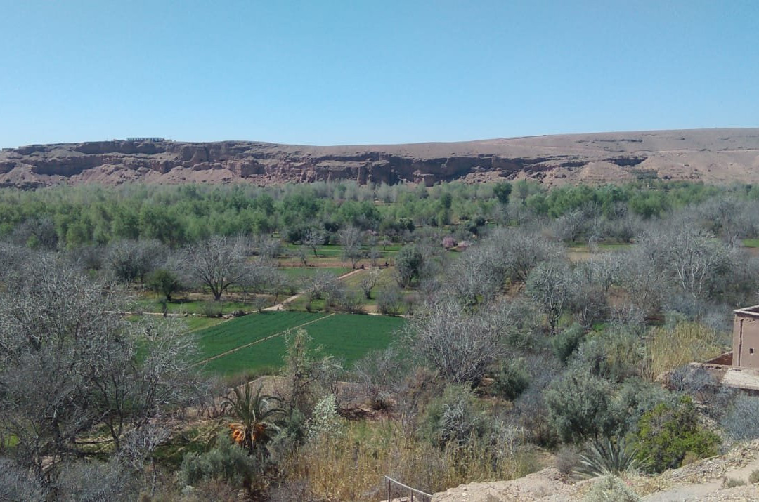 Kasbah Tasseurte主图