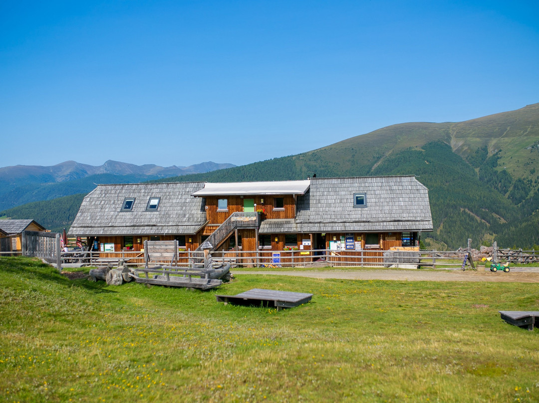 锡尔尼兹餐馆和美食-Hiasl Zirbenhütte Leitgeb KG