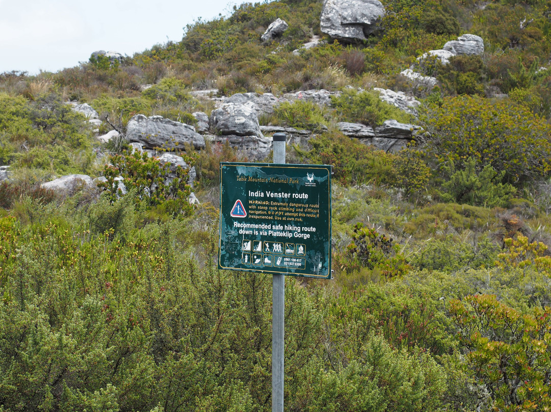 Maclear's Beacon-桌山国家公园必去景点