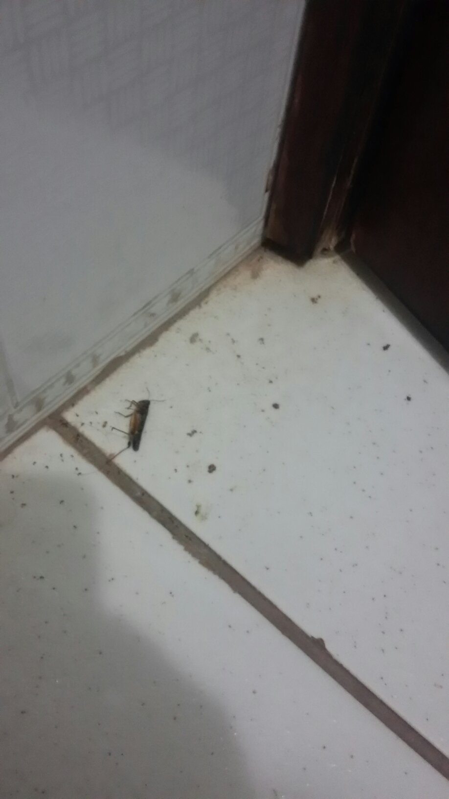 Entre Rios Hotel-官方