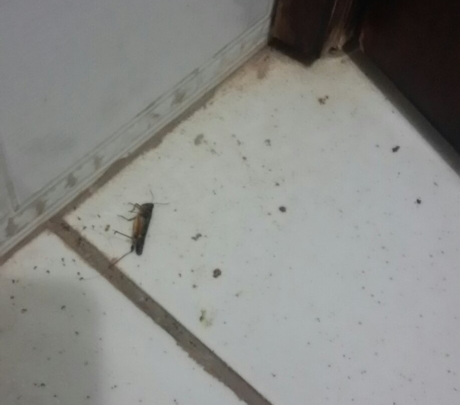 Entre Rios Hotel主图