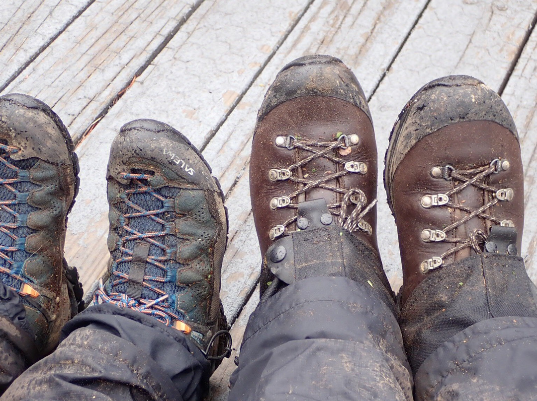 Overland Track Transport景点图片