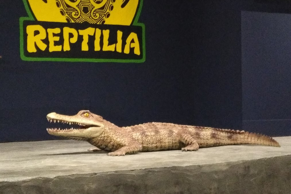 Reptilia Zoo and Education Centre Whitby景点图片
