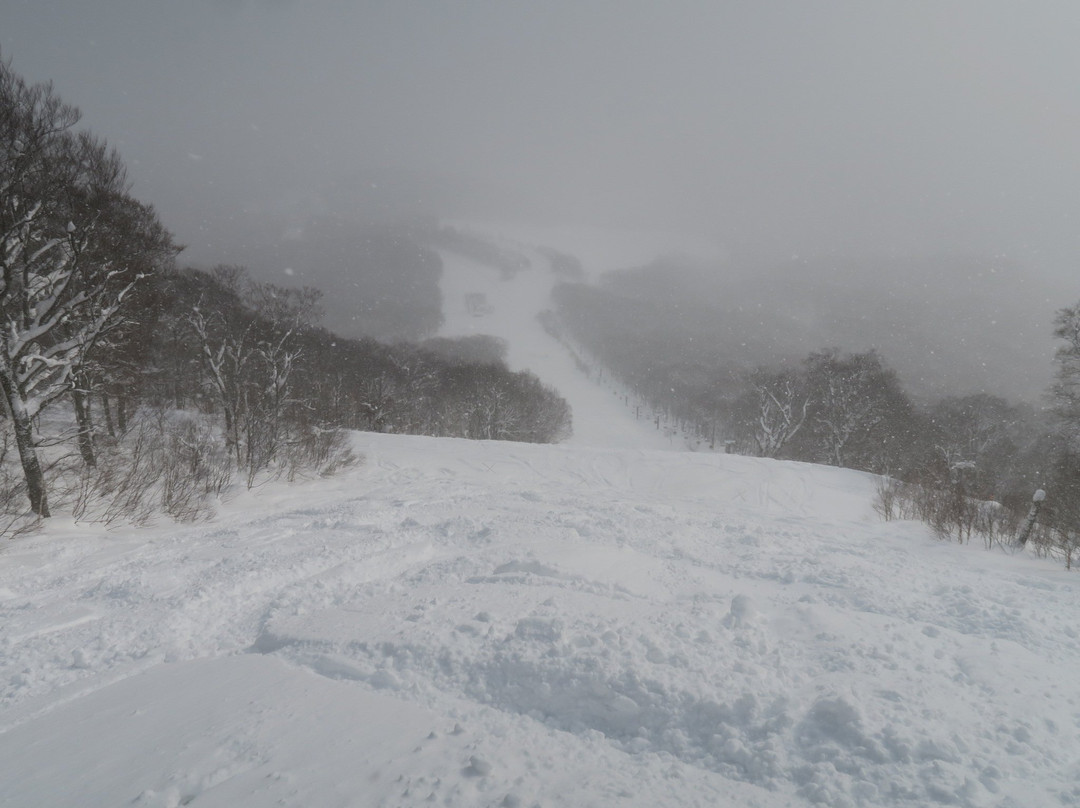 Hachimantai Resort Shimokura Ski Area-八幡平市必去景点