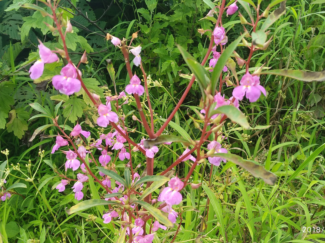 Bedse Caves景点图片