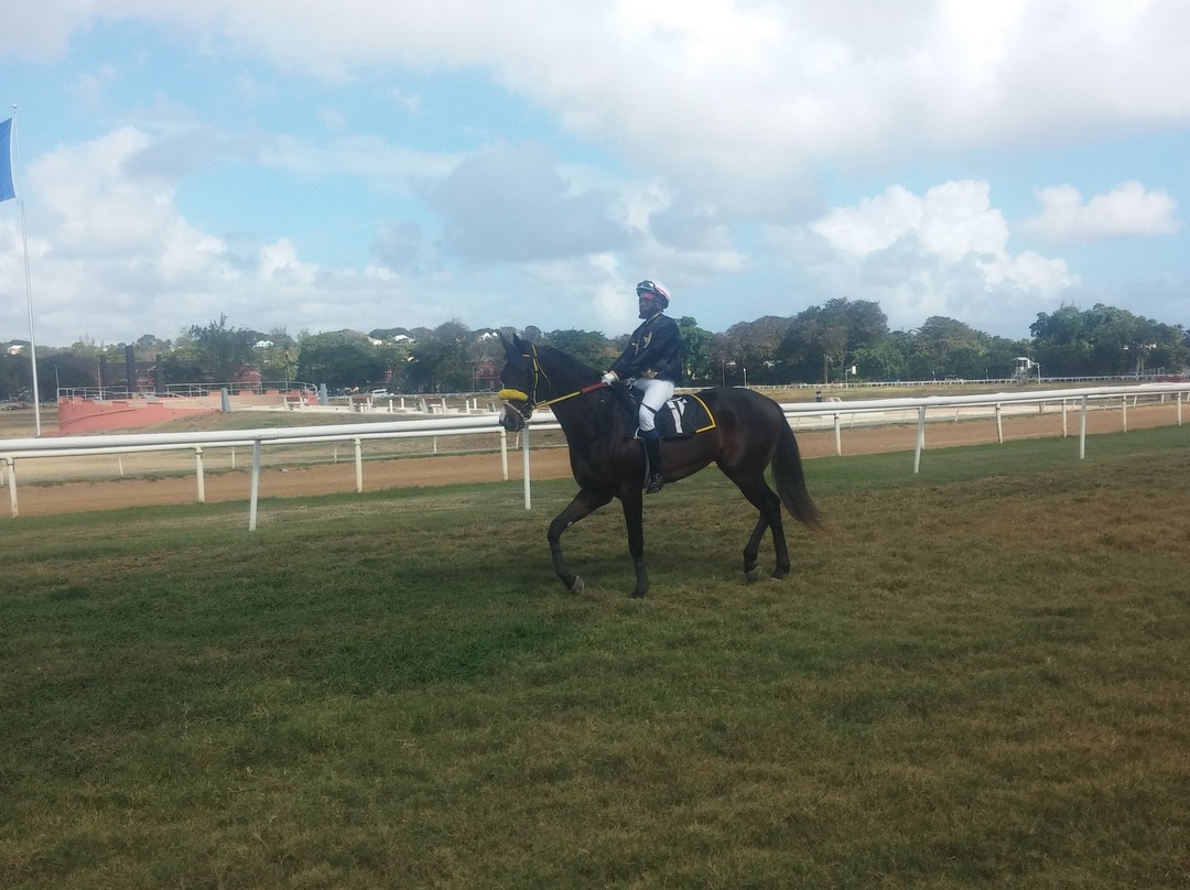 Barbados Turf Club-布里奇顿必去景点