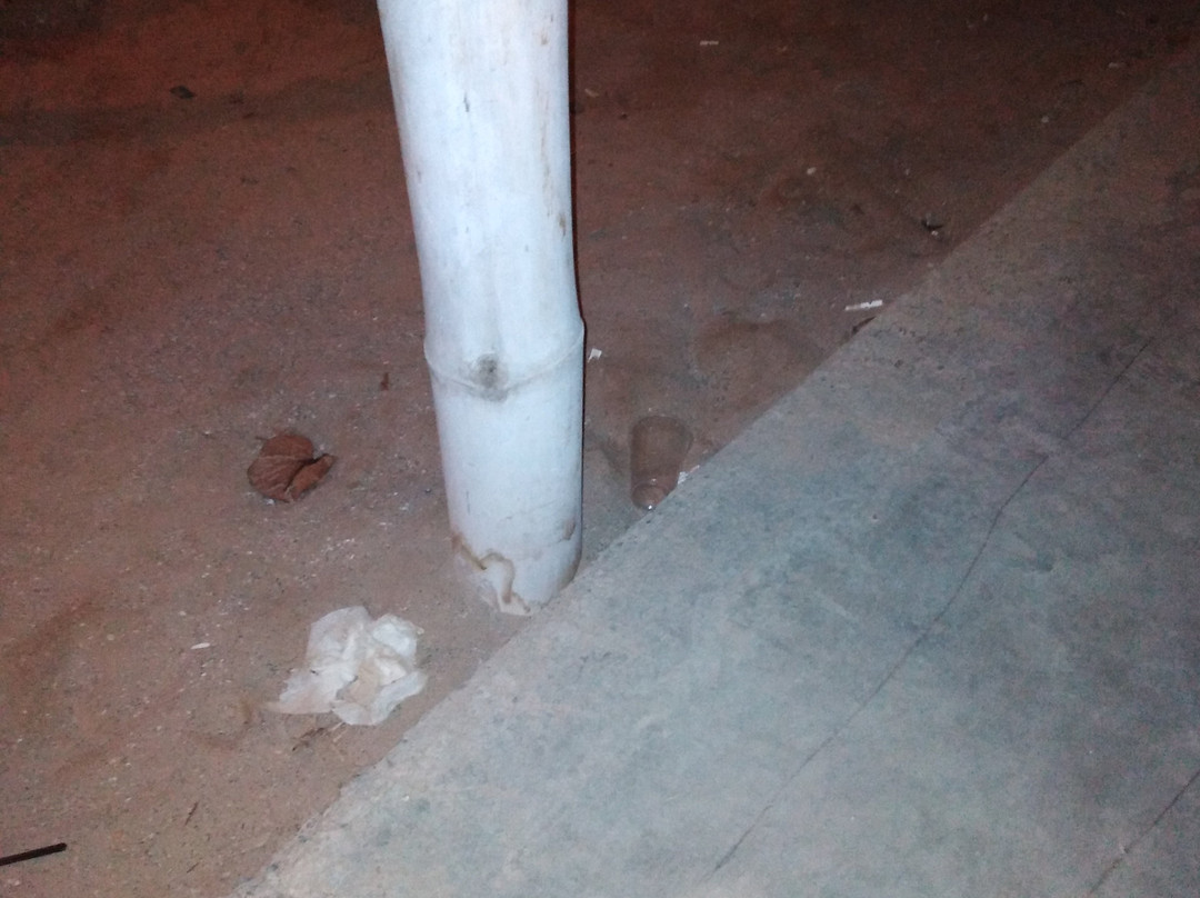 Argos Bar-帕拉卡斯必去景点