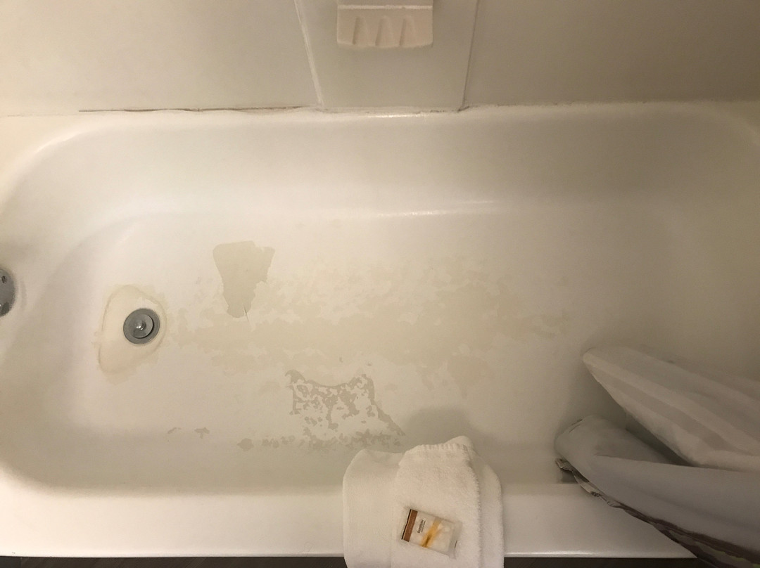 La Quinta Inn & Suites by Wyndham Alexandria Airport主图