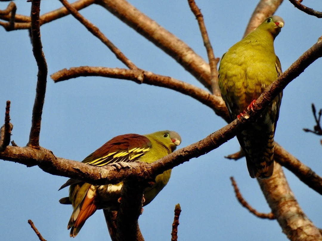 Khao Laem National Park