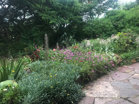 Thorn Tree Guest House主图