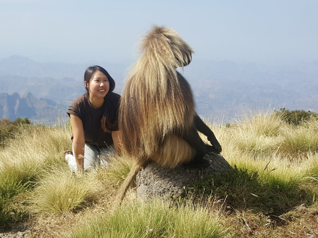 Ethio Backpacker Tours-亚的斯亚贝巴必去景点