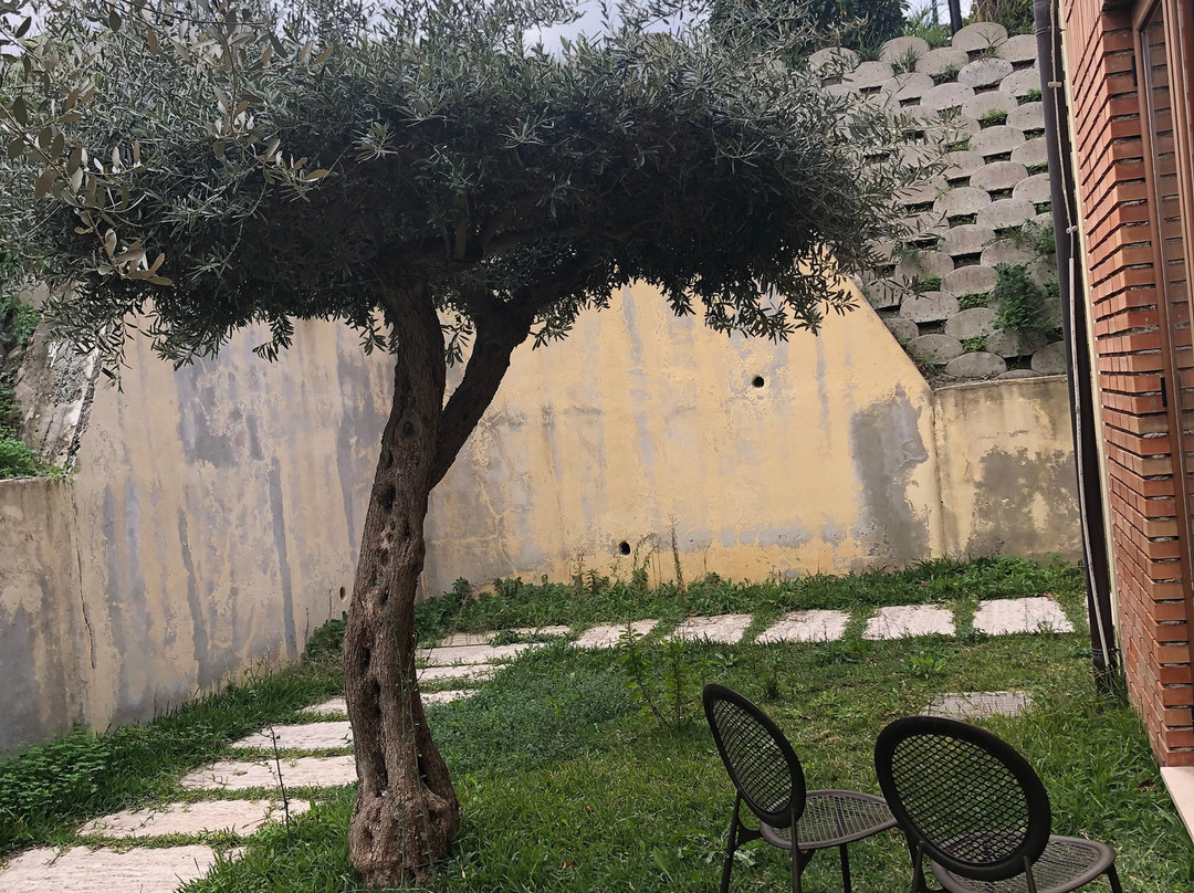 伊尔帕科德优利维酒店主图