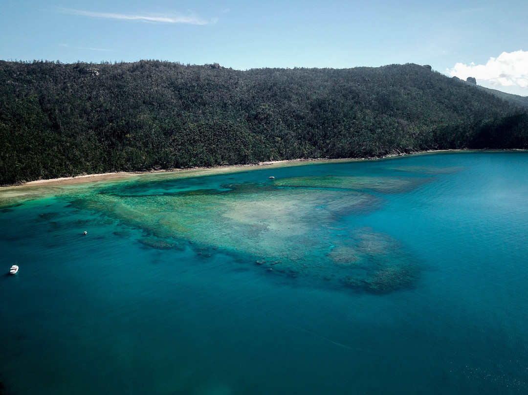 Charter Plus Whitsundays-艾尔利滩必去景点