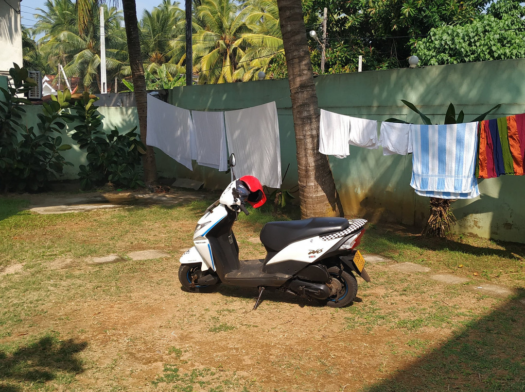 Rainbow Surf Beach主图