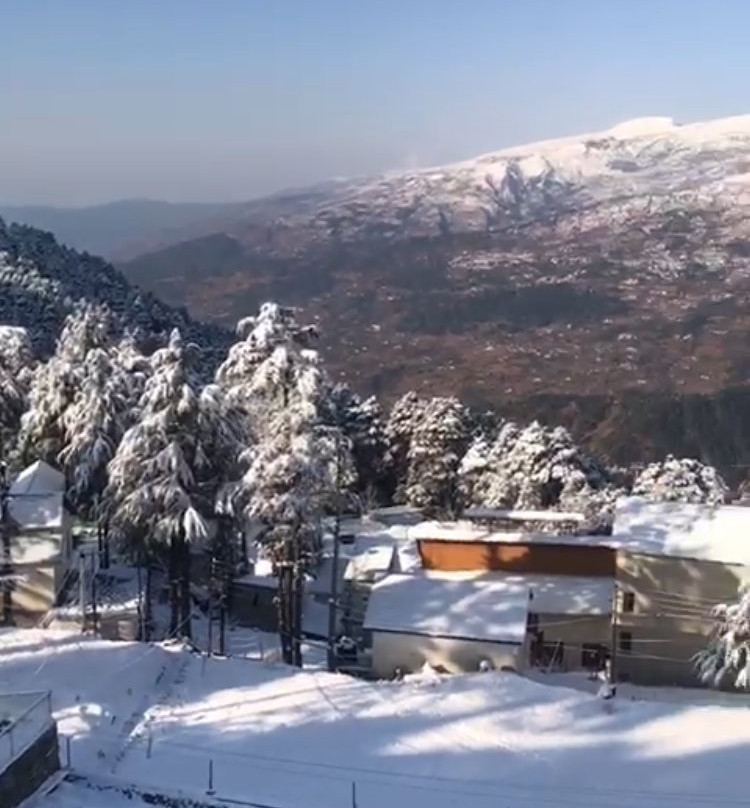 Hotel Trinetra Resorts主图