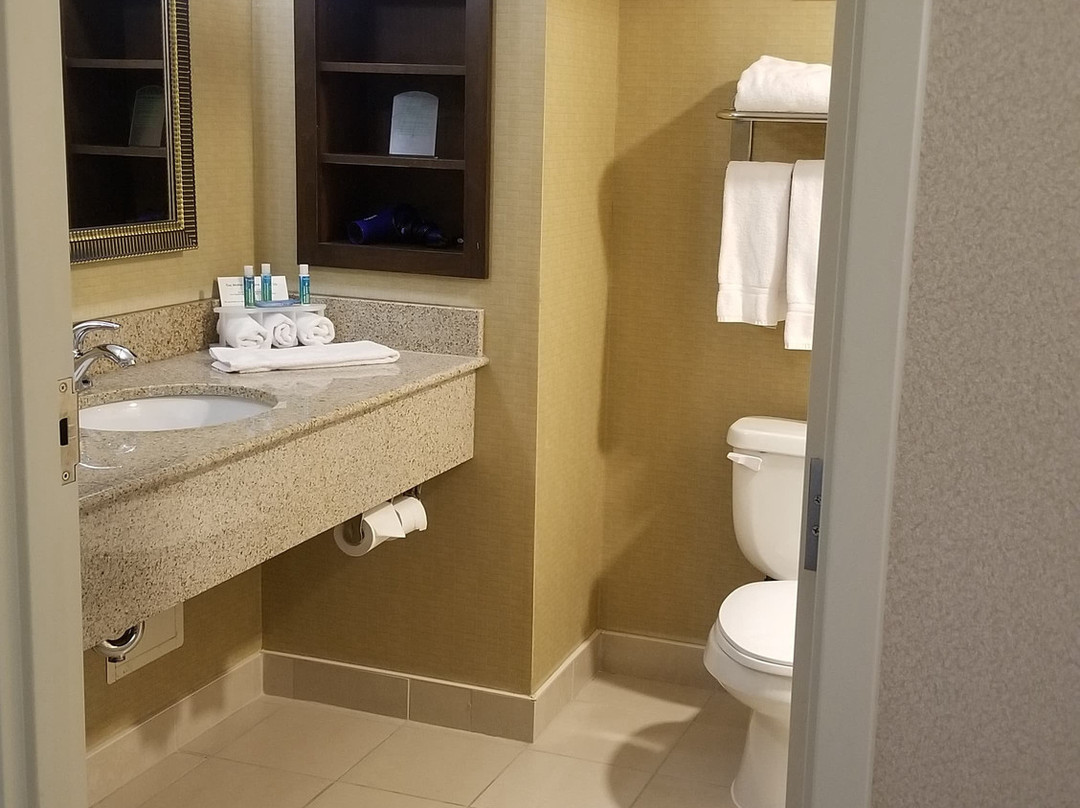 亨茨维尔智选假日套房酒店主图