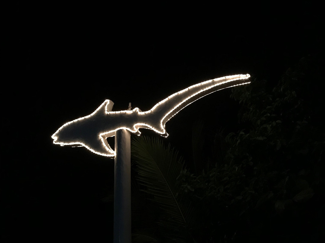 马拉帕酷亚异国岛屿潜水海滩度假村主图