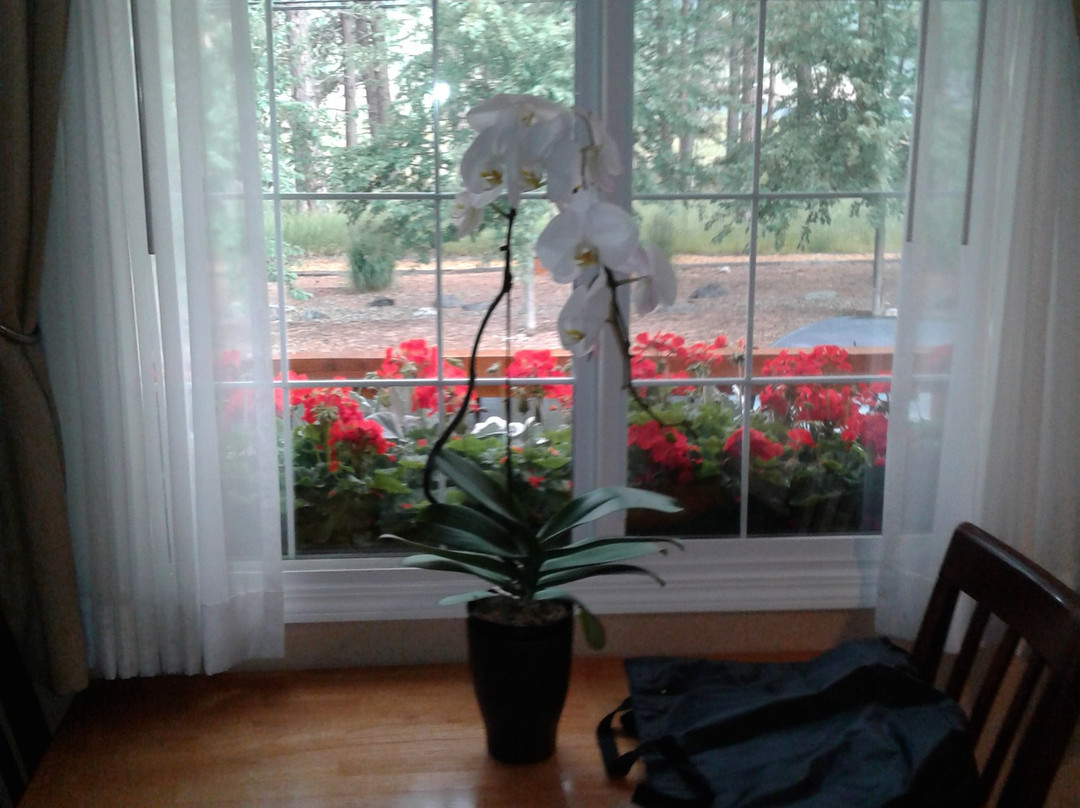 Elizabeth Lake Lodge主图