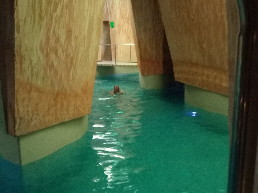 Viiking Spa Hotel主图