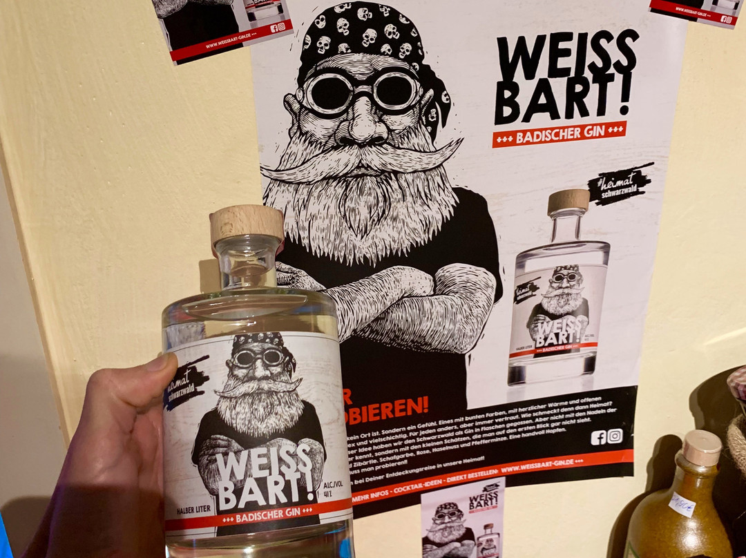 Schusterjunge Aparthotel Sasbachwalden主图