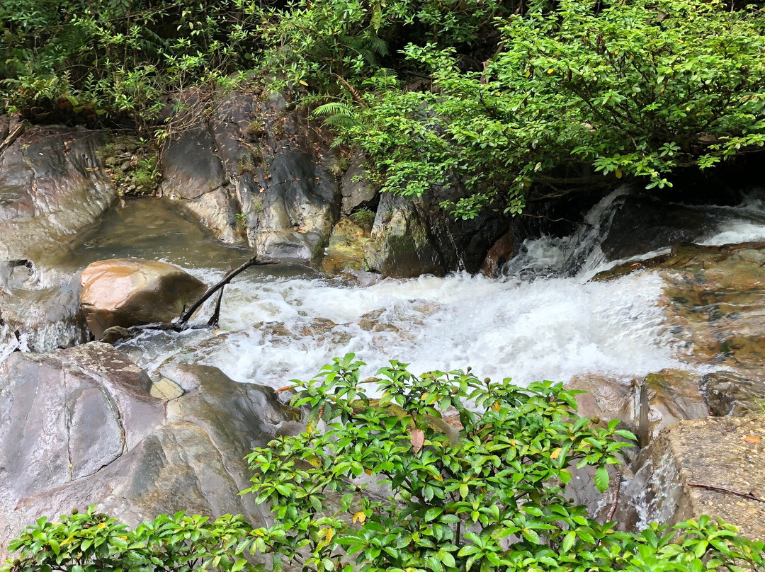 Matalangao Falls景点图片