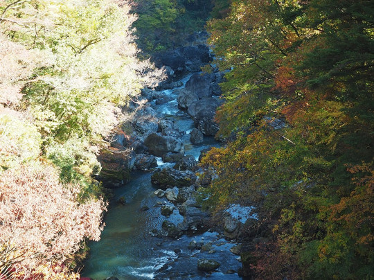 Sogaku Valley-奥多摩町必去景点